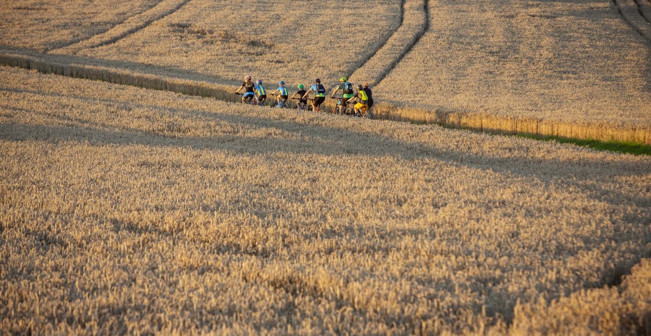 Radfahrer im Holzland, © Wolfgang Gasserwww.chiemsee-fot Radfahrer im Holzland, © Wolfgang Gasserwww.chiemsee-fot