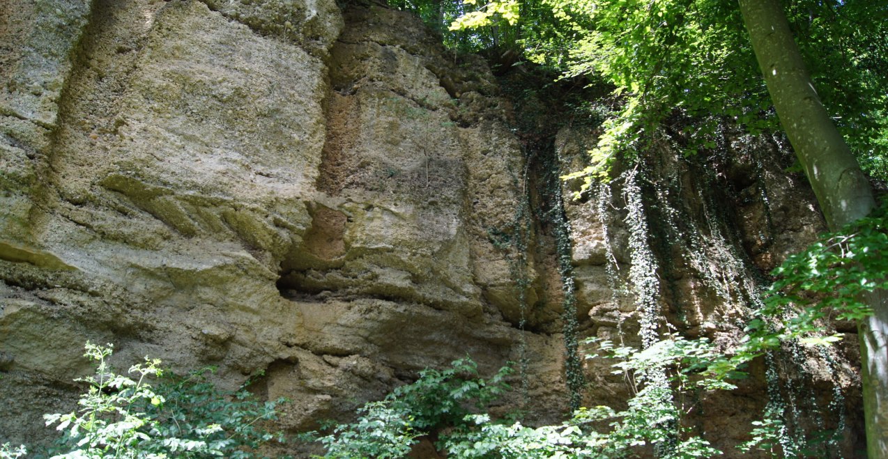 Geologische Orgeln, © Inn-Salzach Tourismus Geologische Orgeln, © Inn-Salzach Tourismus