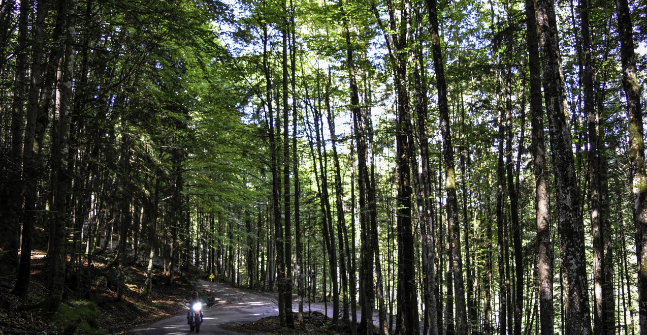 Fuschl Tiefbrunnau, © Andreas Wiesenzarter Fuschl Tiefbrunnau, © Andreas Wiesenzarter