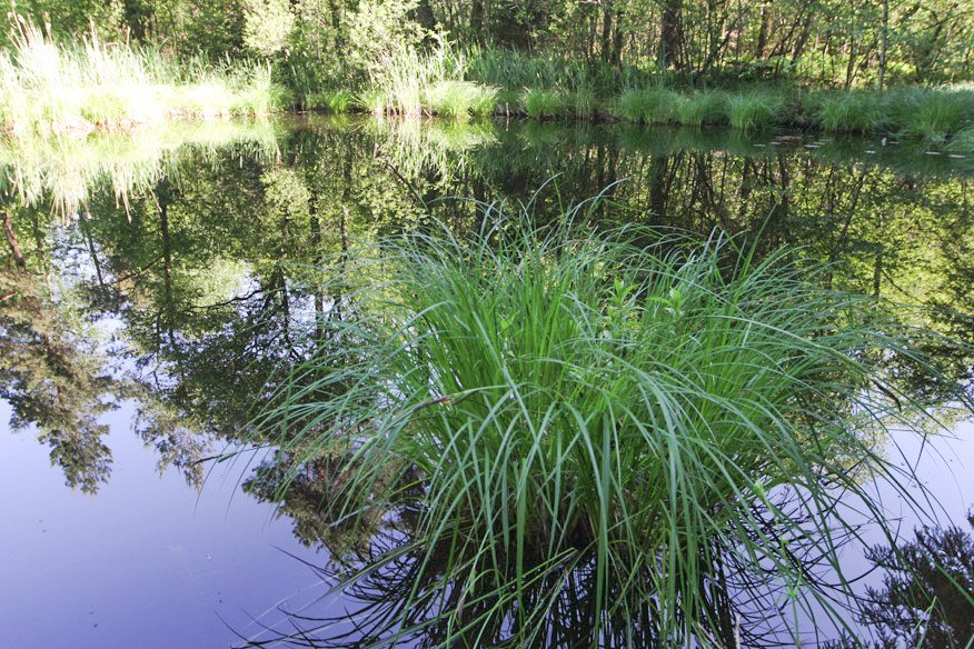 Toteiskessel im Haager Land, © Landratsamt Mühldorf a. Inn Toteiskessel im Haager Land, © Landratsamt Mühldorf a. Inn