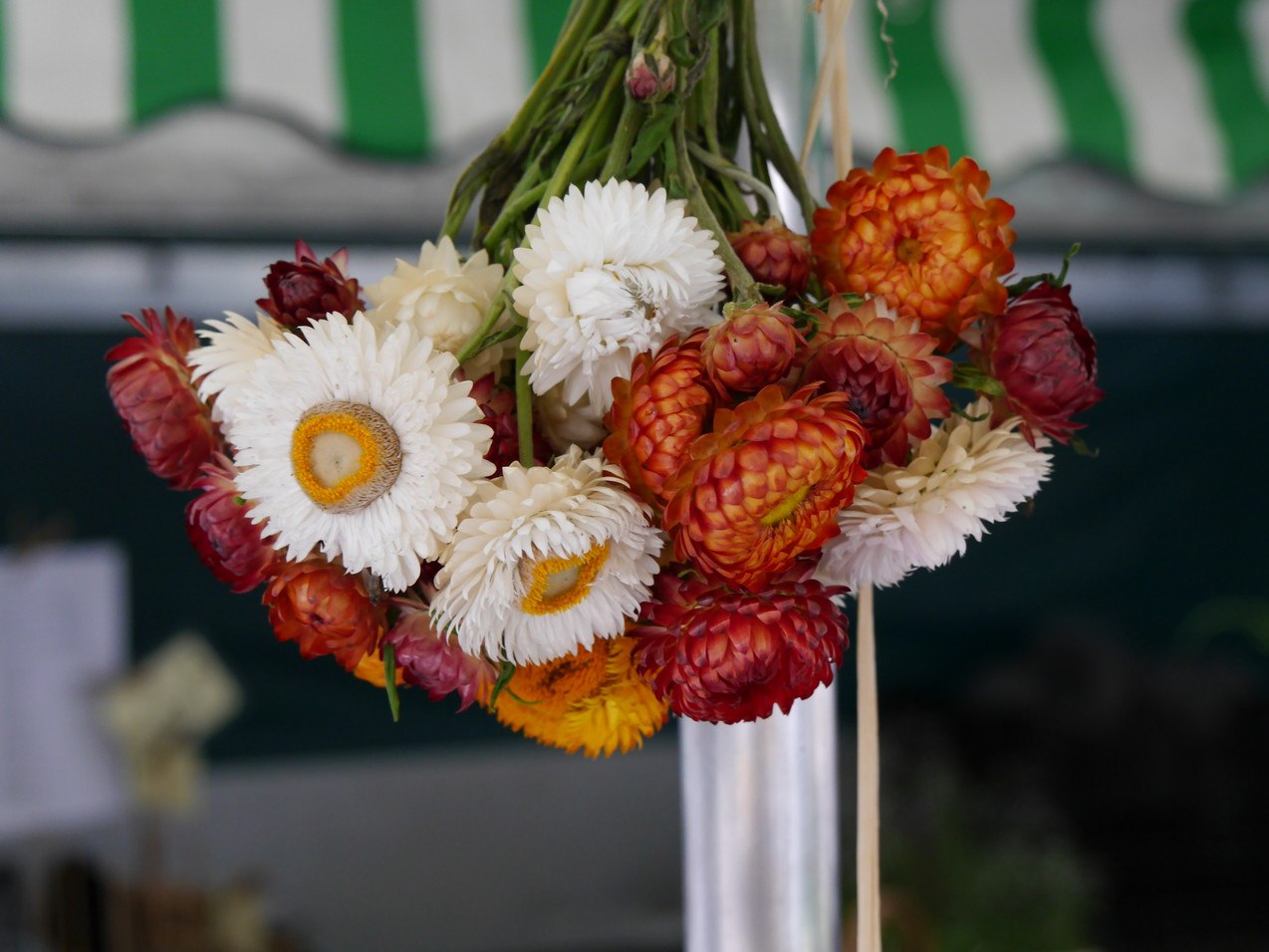 Getrocknete Blumen aus der Region Inn-Salzach, © Inn-Salzach Tourismus Getrocknete Blumen aus der Region Inn-Salzach, © Inn-Salzach Tourismus