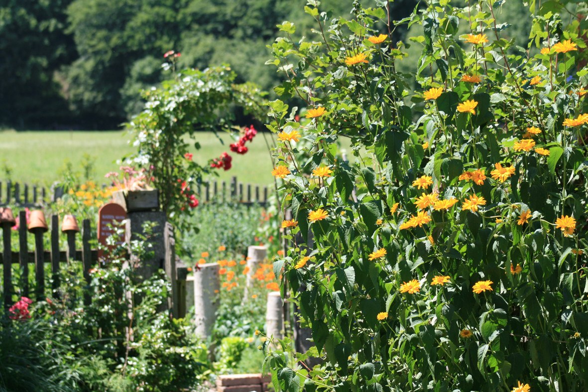 Kr&auml;utergarten von Hildegard Hintereder, &copy; Hildegard Hintereder