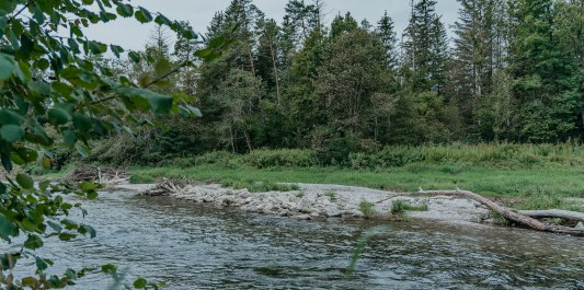 Liegewiese an der Alz, &copy; Inn-Salzach Tourismus