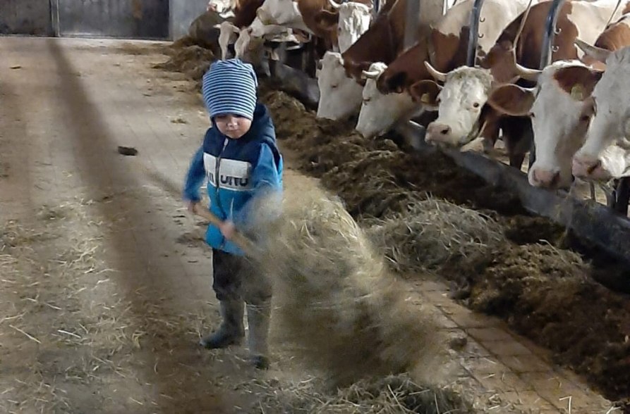 Kleinkind hilft bei Stallarbeit, &copy; Ferienhof Wieser