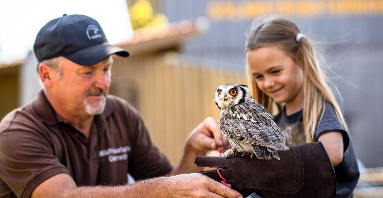 Falknerei besuchen, &copy; Inn-Salzach Tourismus