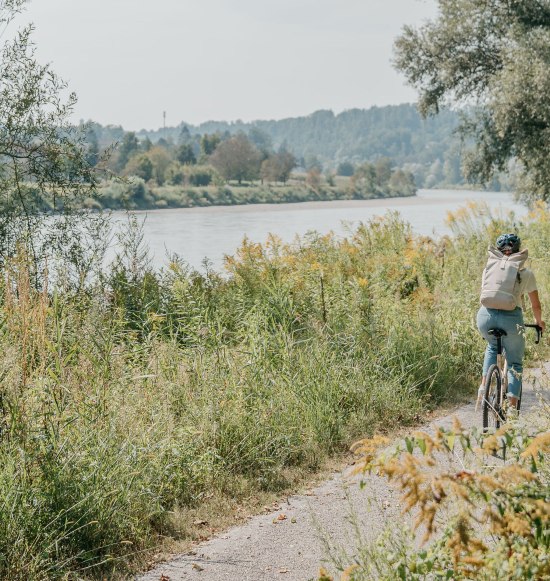 Salzach Radweg Radfahrer, &copy; Inn-Salzach Tourismus