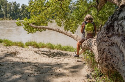 Frau sitzt auf Baumstamm, &copy; Inn-Salzach Tourismus