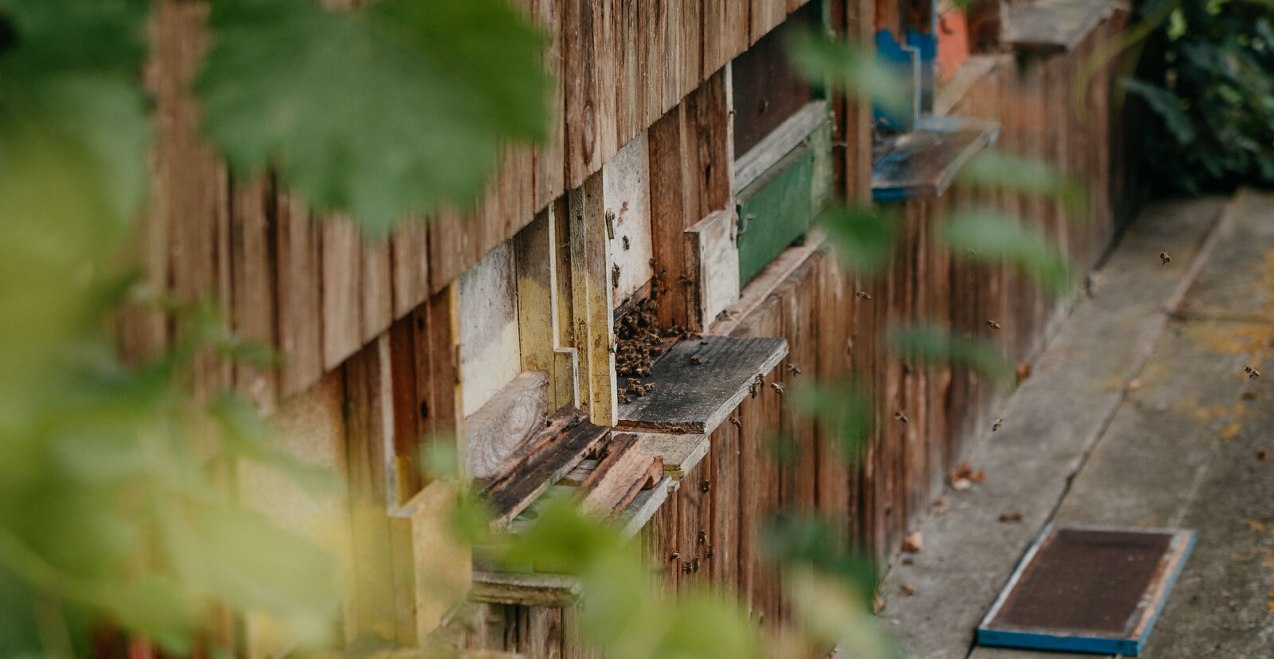 Bienenk&auml;sten Imkerlehrpfad Marktl, &copy; Inn-Salzach Tourismus