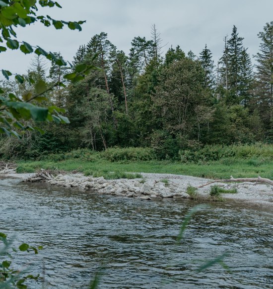 Liegewiese an der Alz, &copy; Inn-Salzach Tourismus