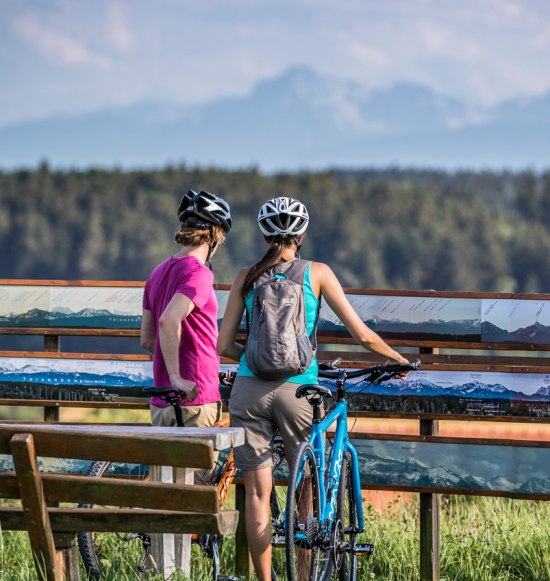 Radfahrer blicken in Richtung Alpen, &copy; Inn-Salzach Tourismus