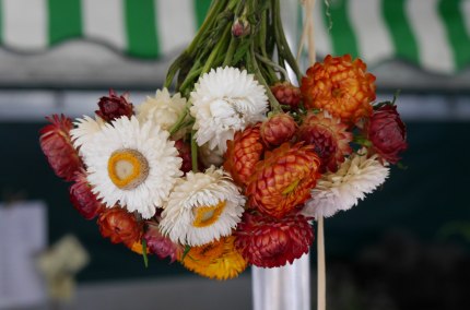 Getrocknete Blumen aus der Region Inn-Salzach, &copy; Inn-Salzach Tourismus