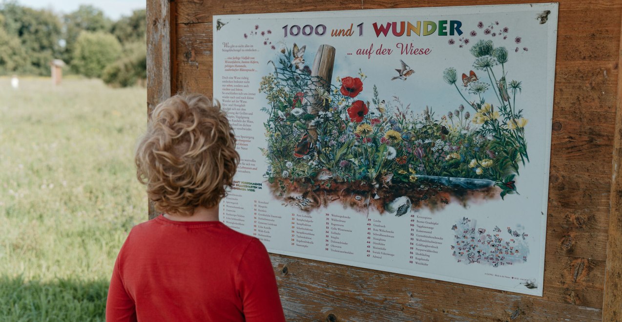 Natur- und Imkerlehrpfadd Klugham, &copy; Tourismusverband Inn-Salzach